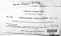 Image Associated With the Occurence